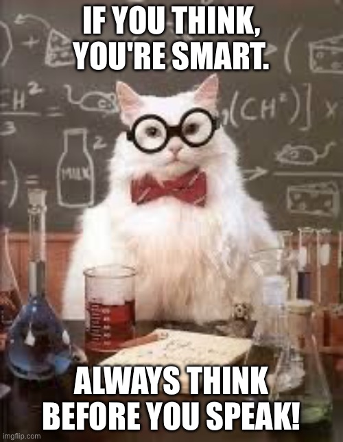 Meow! Always think. | If you think, you're smart. Always think before you speak! | image tagged in smart cat,smart,think,cats,meow | made w/ Imgflip meme maker