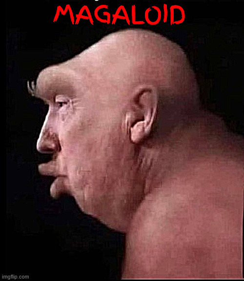 MAGALOID | MAGALOID | image tagged in magaloid | made w/ Imgflip meme maker