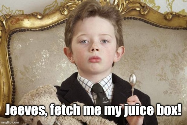 rich kid | Jeeves, fetch me my juice box! | image tagged in rich kid | made w/ Imgflip meme maker