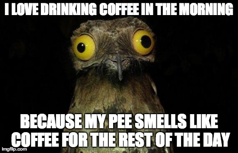Weird Stuff I Do Potoo Meme | I LOVE DRINKING COFFEE IN THE MORNING BECAUSE MY PEE SMELLS LIKE COFFEE FOR THE REST OF THE DAY | image tagged in memes,weird stuff i do potoo | made w/ Imgflip meme maker