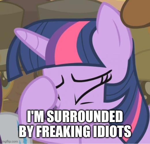 I'm surrounded by freaking idiots | I'm surrounded by freaking idiots | image tagged in mlp twilight sparkle facehoof,idiot,my little pony friendship is magic,my little pony,twilight sparkle,hasbro | made w/ Imgflip meme maker