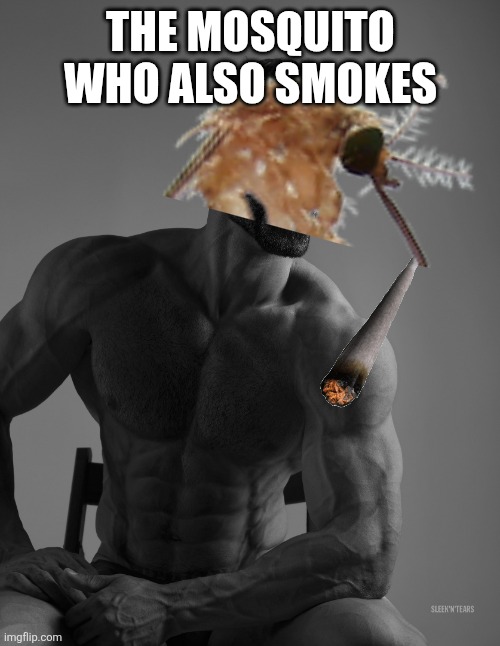 The mosquito who also smokes | image tagged in giga chad | made w/ Imgflip meme maker