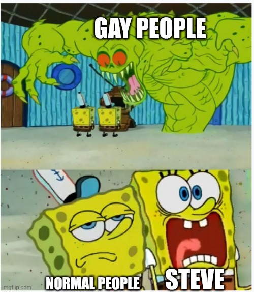SpongeBob SquarePants scared but also not scared | Gay people Normal people Steve | image tagged in spongebob squarepants scared but also not scared | made w/ Imgflip meme maker