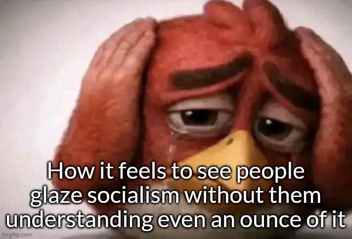 Angry Bird Covering Ears | How it feels to see people glaze socialism without them understanding even an ounce of it | image tagged in angry bird covering ears | made w/ Imgflip meme maker