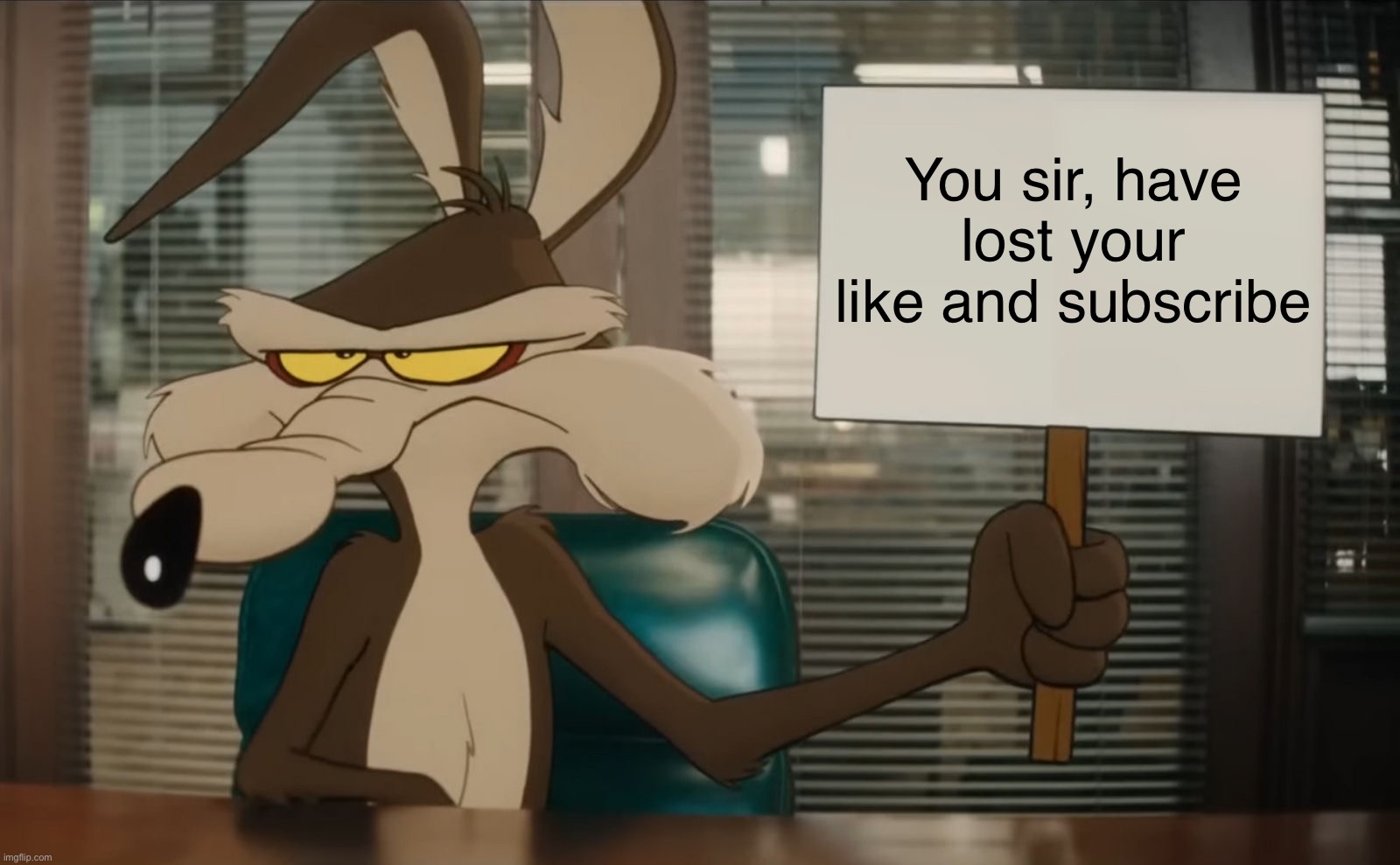Frustrated Wile E. Coyote holding a blank sign | You sir, have lost your like and subscribe | image tagged in frustrated wile e coyote holding a blank sign | made w/ Imgflip meme maker