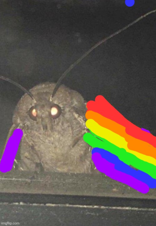 image tagged in moth | made w/ Imgflip meme maker