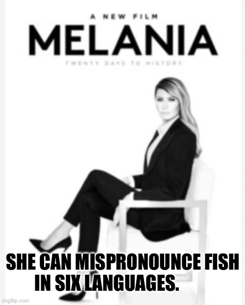 IMG_0978.jpeg | She can mispronounce fish in six languages. | image tagged in img_0978 jpeg | made w/ Imgflip meme maker