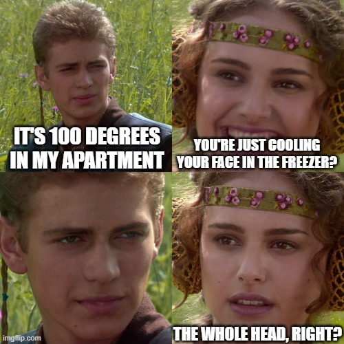 the EQUATOR!!!!!!!!!!!!!!!!!!!!!!! | IT'S 100 DEGREES IN MY APARTMENT; YOU'RE JUST COOLING YOUR FACE IN THE FREEZER? THE WHOLE HEAD, RIGHT? | image tagged in anakin padme 4 panel,freezer,cold | made w/ Imgflip meme maker