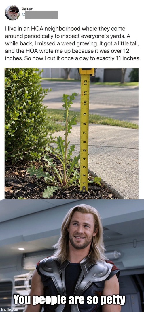 Petty Peter | You people are so petty | image tagged in thor you people are so petty,hoa,homeowner,petty,weed | made w/ Imgflip meme maker
