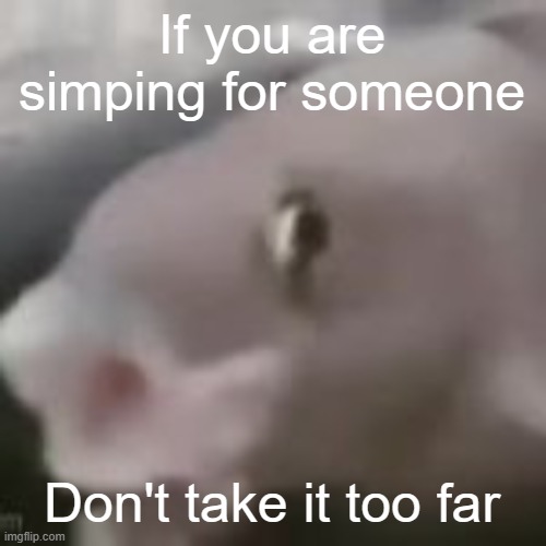 it gets weird REAL quick | If you are simping for someone; Don't take it too far | image tagged in fih | made w/ Imgflip meme maker
