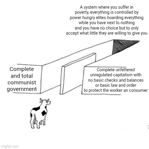 Both socialism and capitalism in their worst forms can look too much like each other | A system where you suffer in poverty, everything is controlled by power hungry elites hoarding everything while you have next to nothing and you have no choice but to only accept what little they are willing to give you; Complete and total communist government; Complete unfettered unregulated capitalism with no basic checks and balances or basic law and order to protect the worker an consumer | image tagged in the illusion of free choice blank,capitalism,communism,tyranny,economy,elitist | made w/ Imgflip meme maker