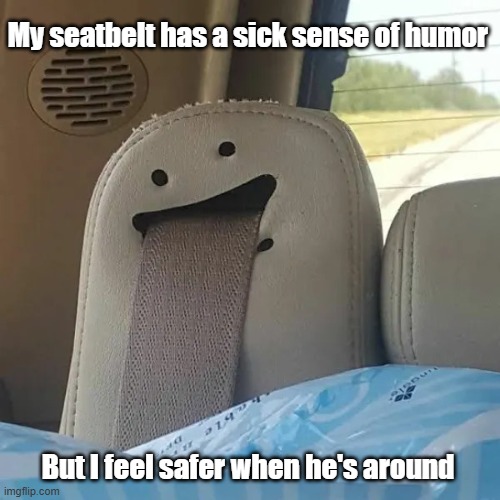 Party Belt | My seatbelt has a sick sense of humor; But I feel safer when he's around | image tagged in cars,safety,funny,seatbelt | made w/ Imgflip meme maker