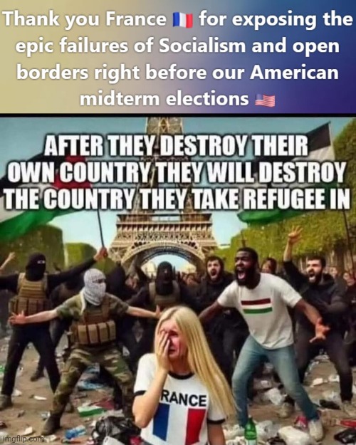 Big thank you to France | image tagged in img 38 jpeg,thank you france,desdly dangers of open borders | made w/ Imgflip meme maker