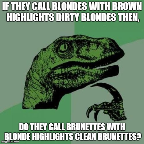 Philosoraptor | IF THEY CALL BLONDES WITH BROWN HIGHLIGHTS DIRTY BLONDES THEN, DO THEY CALL BRUNETTES WITH BLONDE HIGHLIGHTS CLEAN BRUNETTES? | image tagged in memes,philosoraptor | made w/ Imgflip meme maker