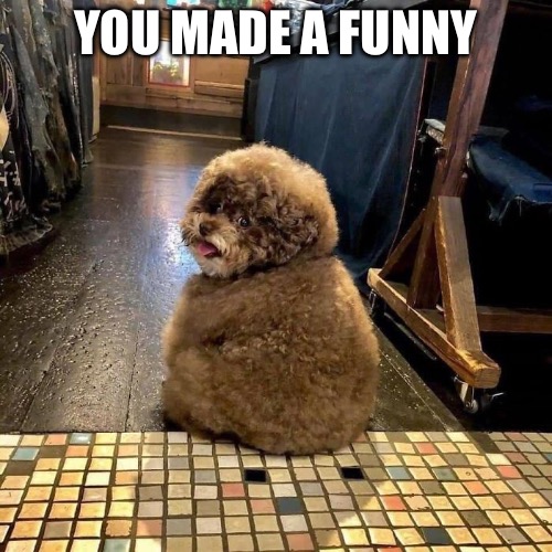 You made a funny | made w/ Imgflip meme maker