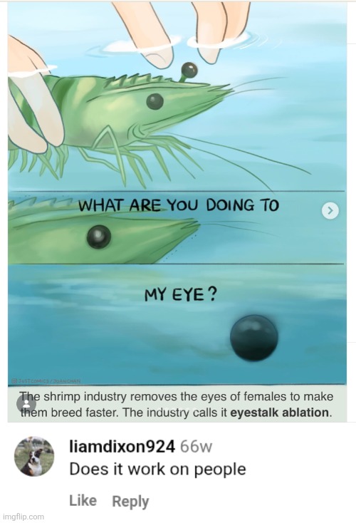 Dawg wtf | image tagged in cursed comment,instagram,idk what to put here | made w/ Imgflip meme maker