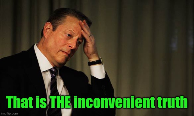 Al Gore Facepalm | That is THE inconvenient truth | image tagged in al gore facepalm | made w/ Imgflip meme maker