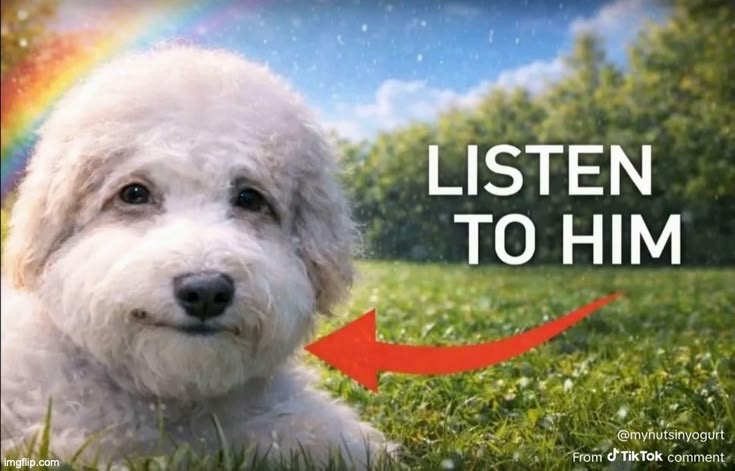 listen to him | image tagged in listen to him | made w/ Imgflip meme maker