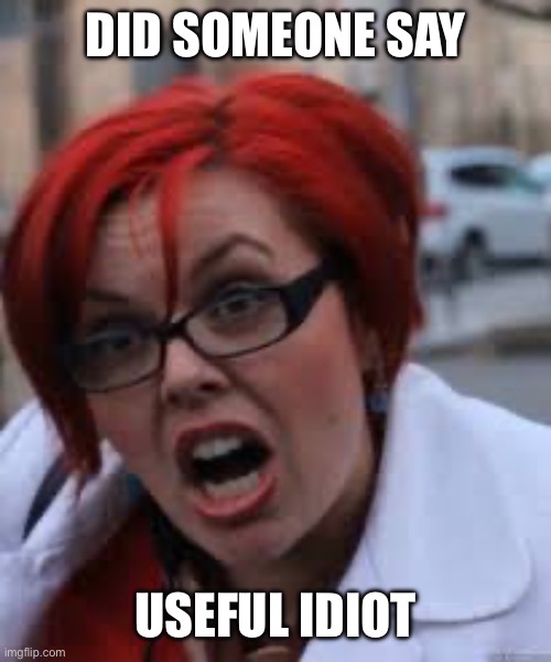 Did someone say Useful idiot | image tagged in sjw triggered | made w/ Imgflip meme maker