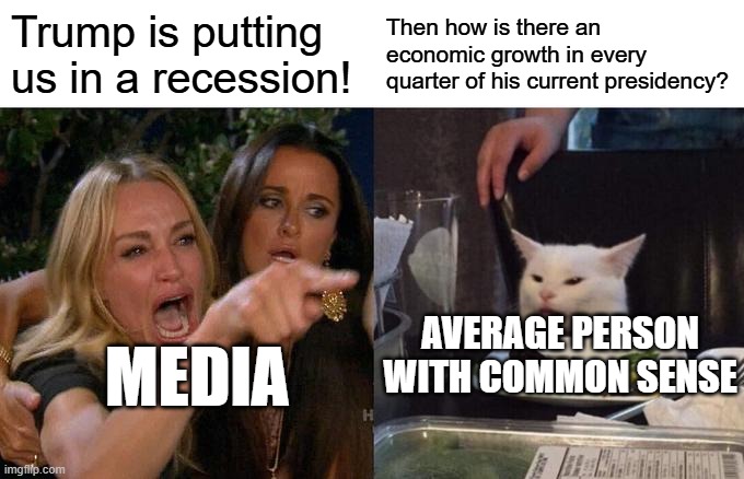 Woman Yelling At Cat Meme | Trump is putting us in a recession! Then how is there an economic growth in every quarter of his current presidency? Media Average person wi | image tagged in memes,woman yelling at cat | made w/ Imgflip meme maker