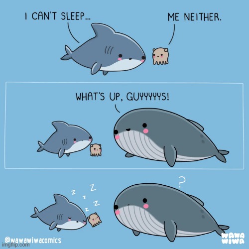 image tagged in shark,octopus,whale,sleep,whale noises,sleeping | made w/ Imgflip meme maker