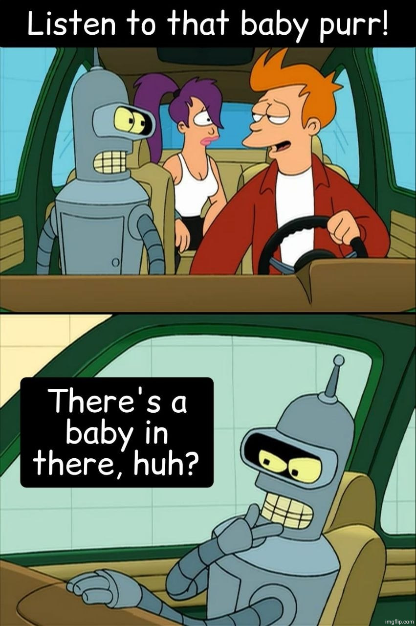 No, Bender. | image tagged in memes | made w/ Imgflip meme maker