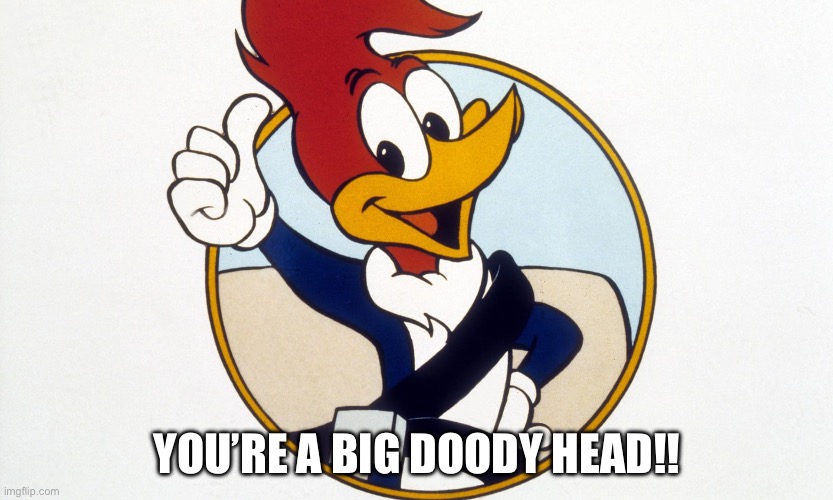 Woody Woodpecker | You’re a big doody head!! | image tagged in woody woodpecker | made w/ Imgflip meme maker