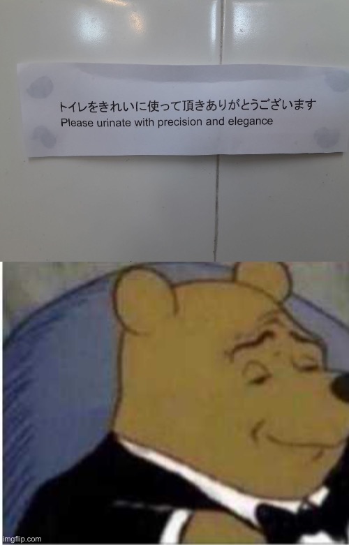 Toilet Humour | image tagged in img_6542 jpeg,elegant and regular winnie the poo,toilet,precise | made w/ Imgflip meme maker