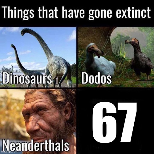 no one will read the title | 67 | image tagged in things gone extinct,funny,memes,anti 67 | made w/ Imgflip meme maker