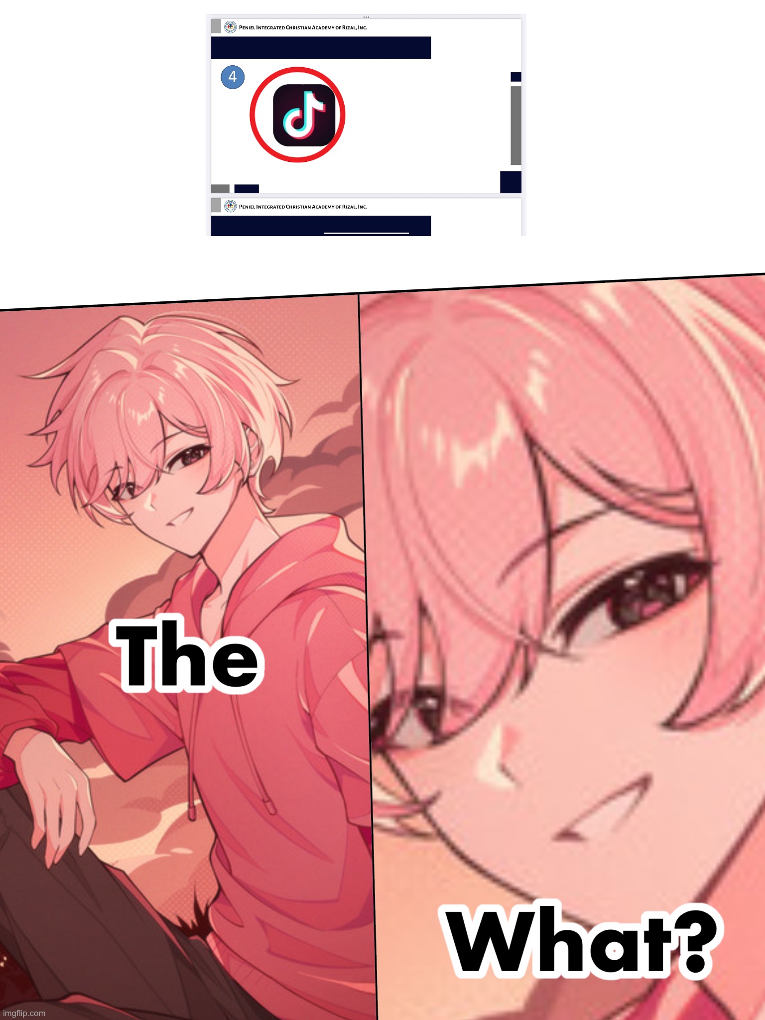 Kudasaibeats fans are actually TikTokers and Instagram users who listen to Kudasaibeats. I hate them. Why? | image tagged in the what anime version,memes,funny memes,funny,tiktok logo,tiktok | made w/ Imgflip meme maker