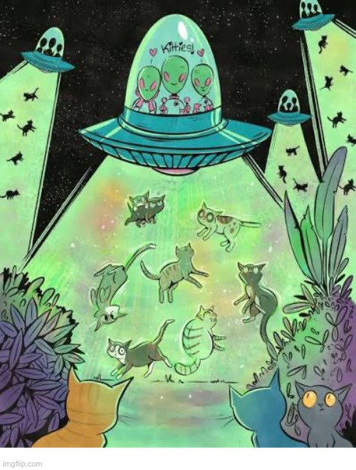 Space aliens love kitties, too! | image tagged in cats,artwork,irina zenyuk,aliens,tractor beam,abductions | made w/ Imgflip meme maker