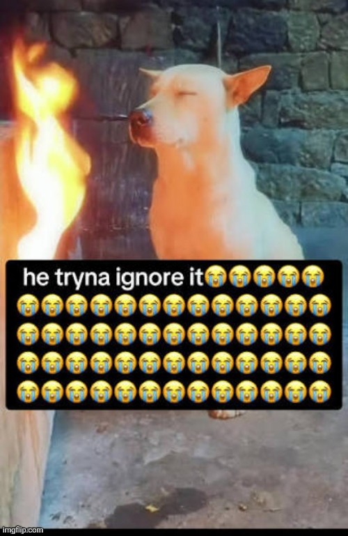 he tryna ignore it | image tagged in he tryna ignore it | made w/ Imgflip meme maker