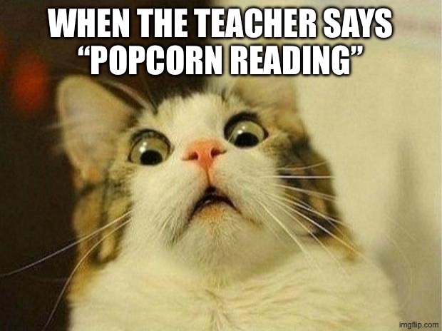 Scared Cat Meme | When the teacher says
“Popcorn reading” | image tagged in memes,scared cat | made w/ Imgflip meme maker