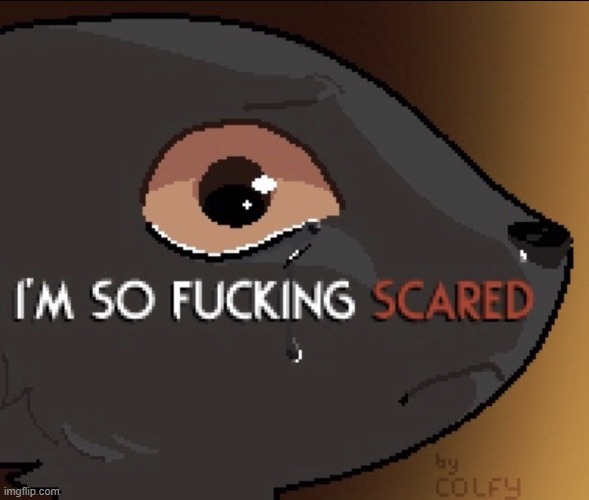 Casualties unknown | image tagged in casualties unknown | made w/ Imgflip meme maker