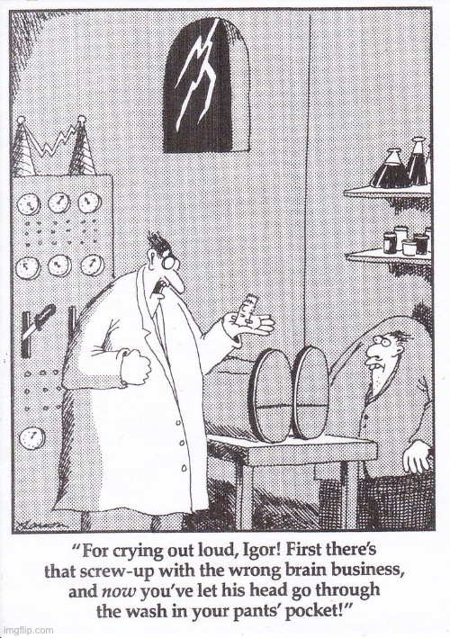 Bad, Igor, bad! | image tagged in the far side,comics,dr frankenstein,igor,screwed up,shrunken head | made w/ Imgflip meme maker
