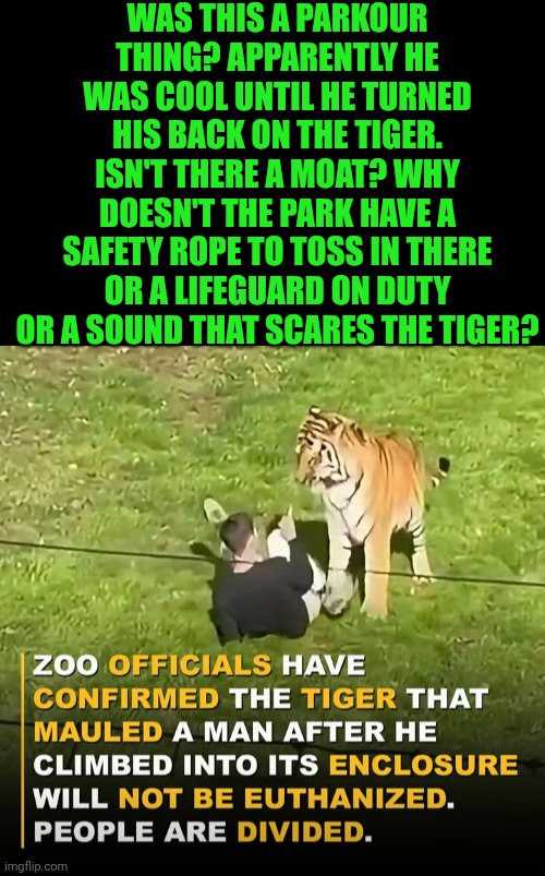 Funny | Was this a parkour thing? Apparently he was cool until he turned his back on the tiger. Isn't there a moat? Why doesn't the park have a safety rope to toss in there or a lifeguard on duty or a sound that scares the tiger? | image tagged in funny,safety first,lifeguard,tiger,parkour,sound | made w/ Imgflip meme maker
