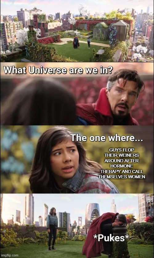 Lop It Off | guys flop their weiners around after hormone therapy and call themselves women | image tagged in america chavez and dr strange | made w/ Imgflip meme maker