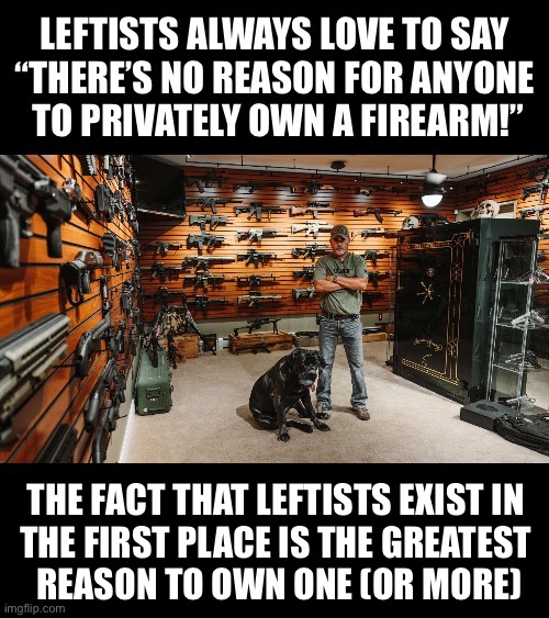This patriot has the right idea | The fact that leftists exist in 
the first place is the greatest 
reason to own one (or more) | image tagged in political meme,leftists,no reason,firearms,the greatest reason,one or more | made w/ Imgflip meme maker