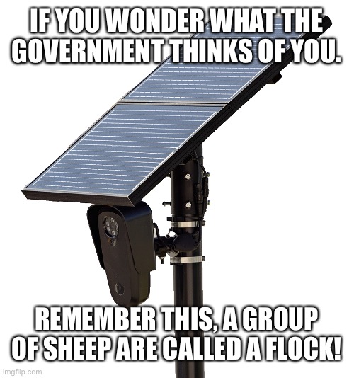 Something both the Right & the Left make agree on. | If you wonder what the government thinks of you. Remember this, a group of sheep are called a flock! | image tagged in flock camera | made w/ Imgflip meme maker