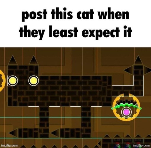 showcased the level that Baron wanted to Collab on but then backed out of https://www.youtube.com/watch?v=6Mwu7uGEjn0 | image tagged in post this cat when they least expect it | made w/ Imgflip meme maker
