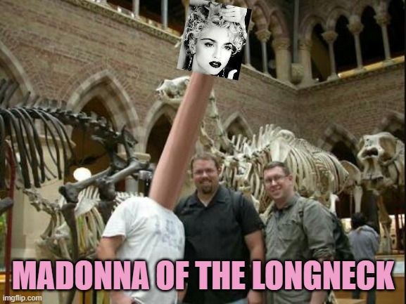Long Neck | madonna of the longneck | image tagged in long neck | made w/ Imgflip meme maker