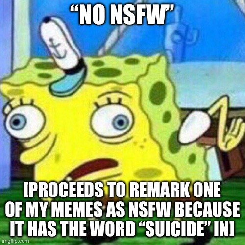 He forgot one of the rules of KCAMM, lol | “NO NSFW”; [PROCEEDS TO REMARK ONE OF MY MEMES AS NSFW BECAUSE IT HAS THE WORD “SUICIDE” IN] | image tagged in triggerpaul,nsfw,mocking spongebob,rules,streams,bruh | made w/ Imgflip meme maker