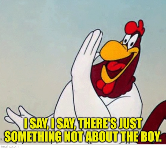 I say, I say, there's just something not about the boy. | image tagged in foghorn leghorn | made w/ Imgflip meme maker