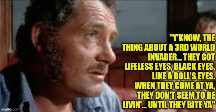 Jaws2222.jpeg | image tagged in jaws2222 jpeg | made w/ Imgflip meme maker