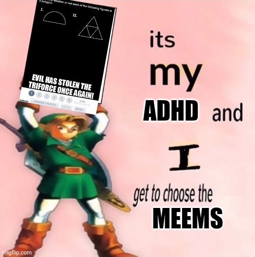 MY choice | ADHD; Meems | image tagged in it's my and i get to choose the | made w/ Imgflip meme maker