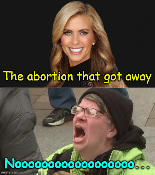 The abortion that got away Noooooooooooooooooo... | image tagged in noooo | made w/ Imgflip meme maker