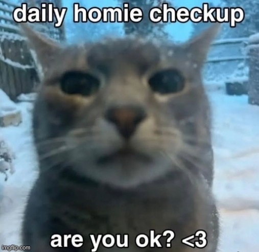 image tagged in msmg | made w/ Imgflip meme maker
