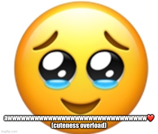 AWWWWWWBDJEISNZJKSBZHSJSBHDHSBDGSJSUDBSB | awwwwwwwwwwwwwwwwwwwwwwwwwwwwwww❤️ (cuteness overload) | image tagged in awwwwwwbdjeisnzjksbzhsjsbhdhsbdgsjsudbsb | made w/ Imgflip meme maker