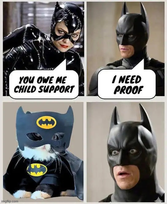 Proof | image tagged in batman,proof | made w/ Imgflip meme maker