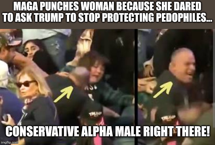 Maga alpha | Maga punches woman because she dared to ask trump to stop protecting pedophiles... Conservative Alpha male right there! | image tagged in donald trump,trump,epstein,nevertrump,pedophiles,maga | made w/ Imgflip meme maker